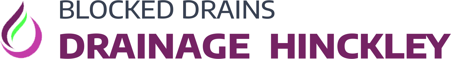 website logo